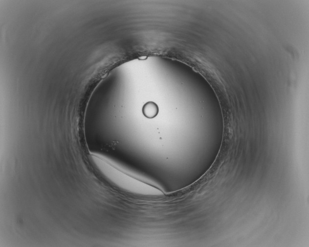 X0000115710693200911121426