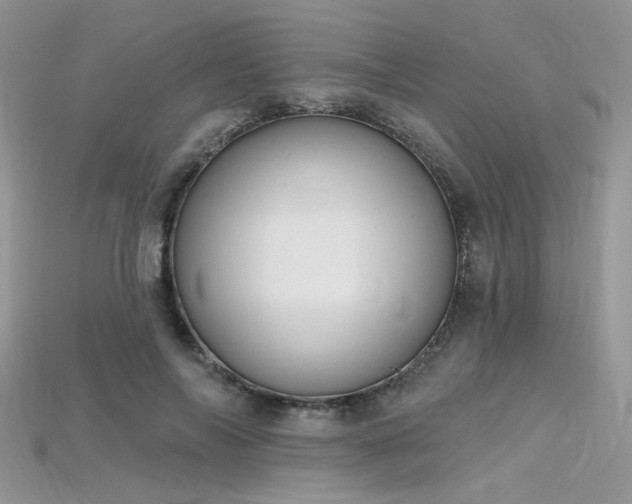 X0000115710694200911121426