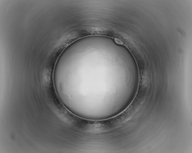 X0000115710695200911121426