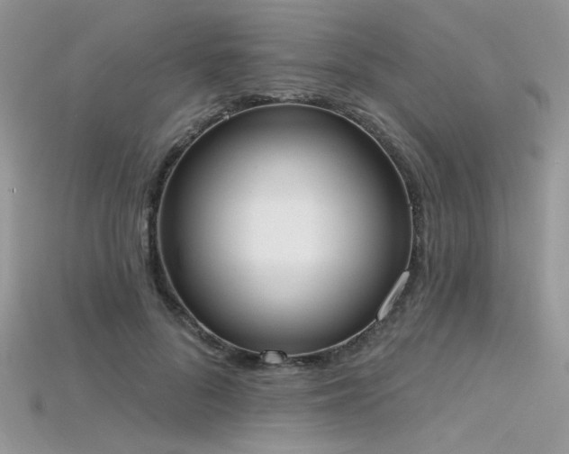 X0000115710696200911121426