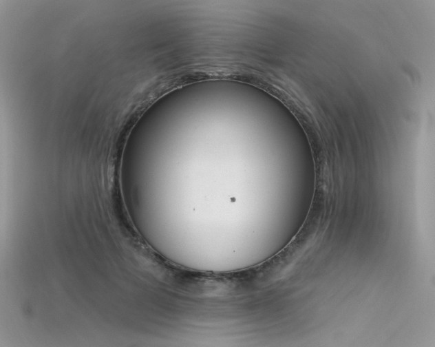 X0000115710697200911121426