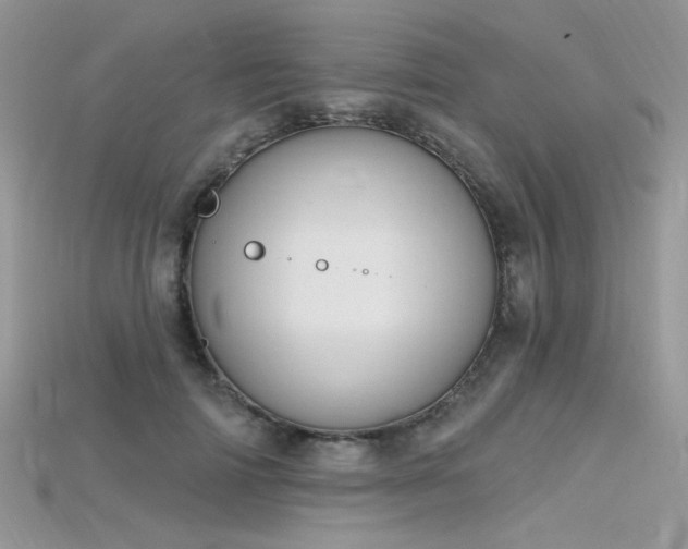 X0000115710698200911121426