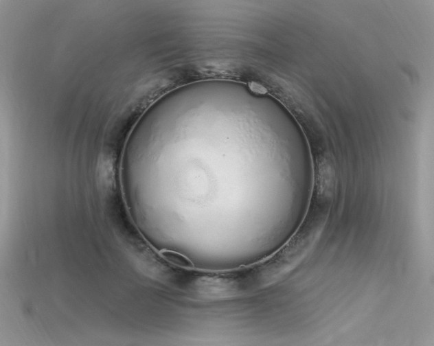 X0000115710699200911121426