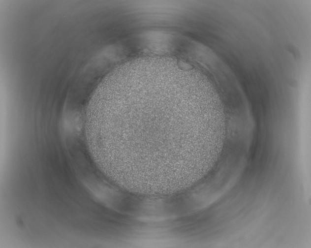 X0000115710701200911121425