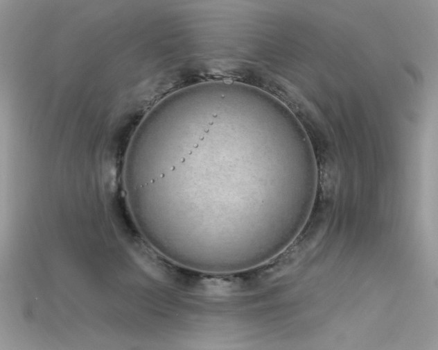 X0000115710703200911121425