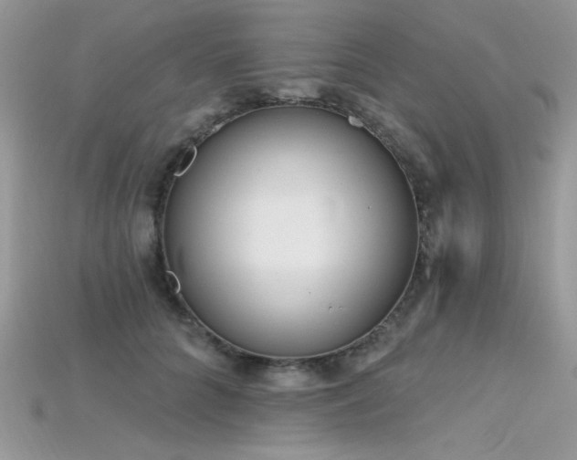 X0000115710704200911121425