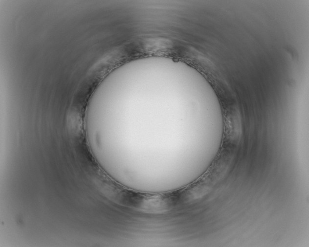 X0000115710705200911121425