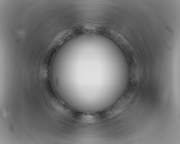 X0000115710706200911121425