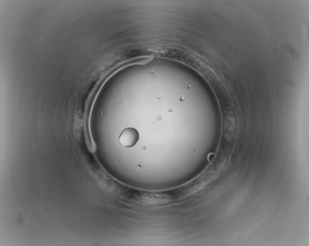 X0000115710707200911121425