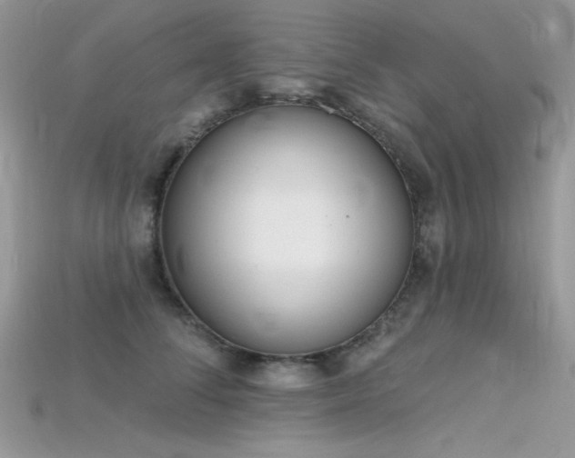 X0000115710708200911121425