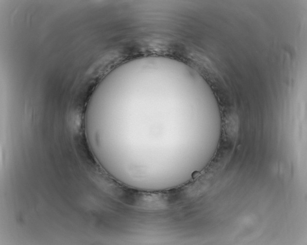 X0000115710709200911121425