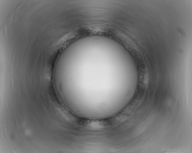 X0000115710710200911121425