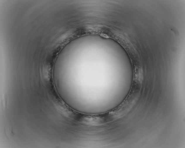 X0000115710712200911121425