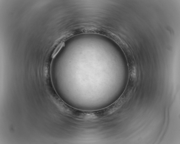 X0000115710715200911121425