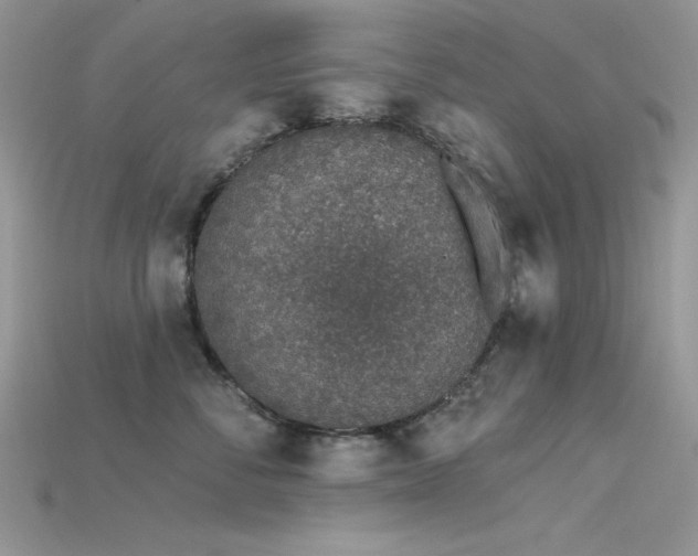 X0000115710716200911121425