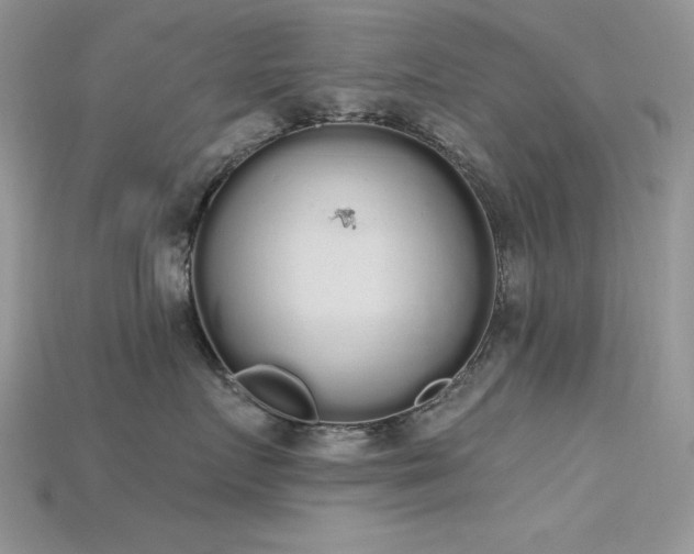 X0000115710719200911121425