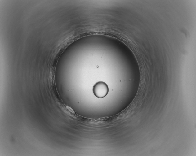 X0000115710720200911121425