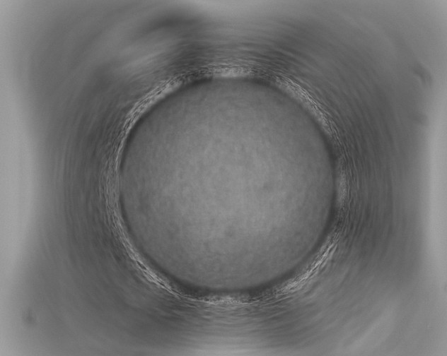 X0000115710721200911121424