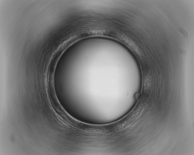 X0000115710722200911121424