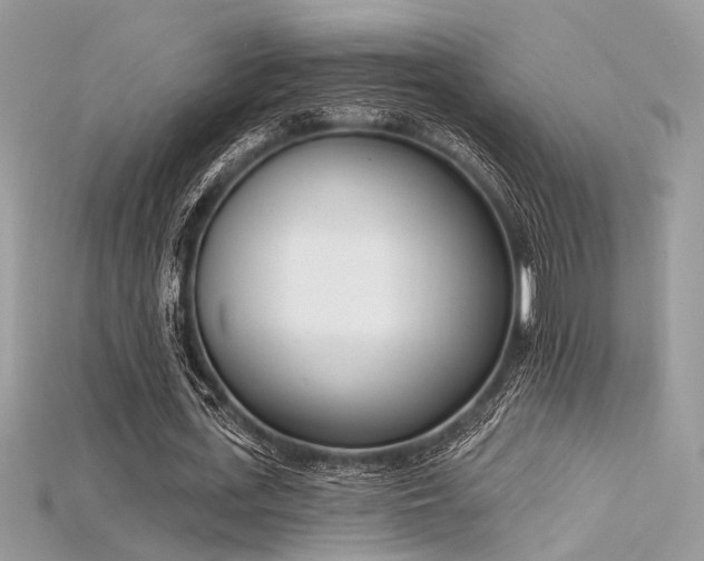 X0000115710723200911121424