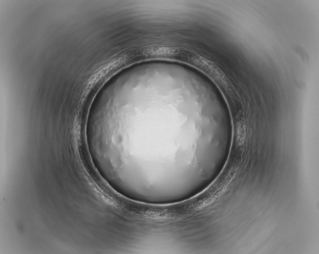 X0000115710725200911121425