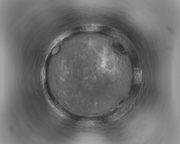 X0000115710726200911121425