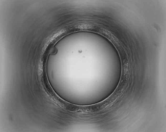 X0000115710727200911121425