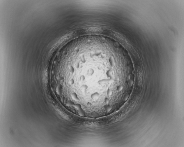 X0000115710729200911121425