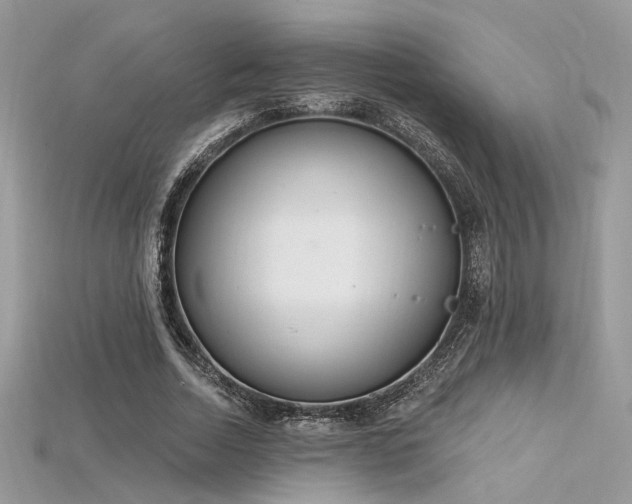 X0000115710730200911121425