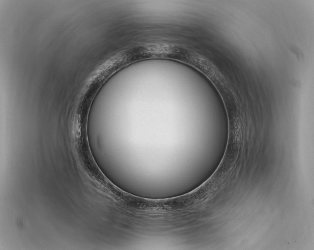 X0000115710731200911121425