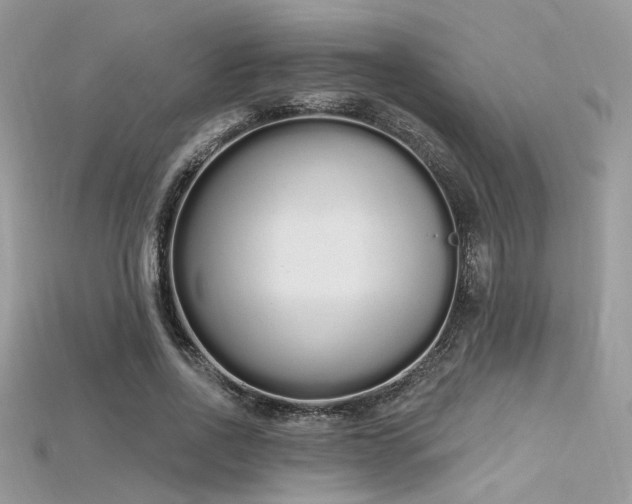 X0000115710734200911121425