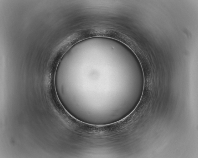 X0000115710735200911121425