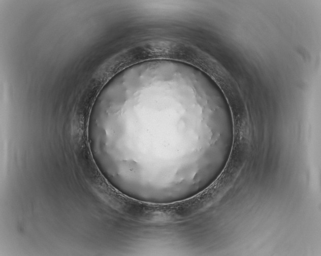 X0000115710737200911121425