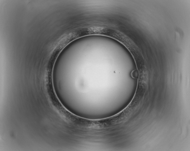 X0000115710738200911121425