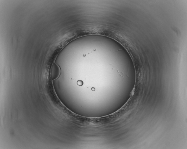 X0000115710739200911121425