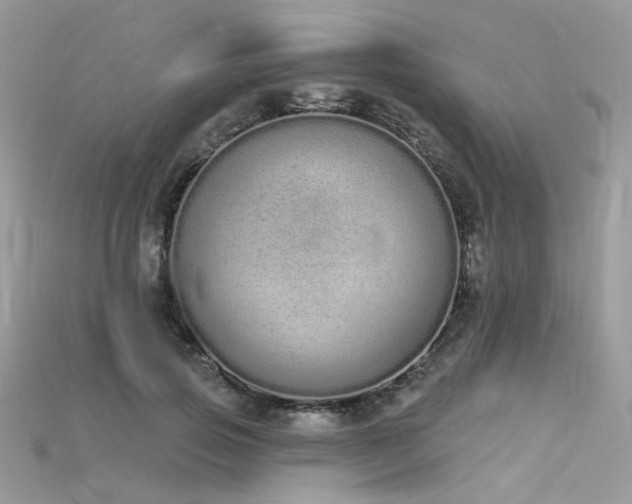 X0000115710741200911121425