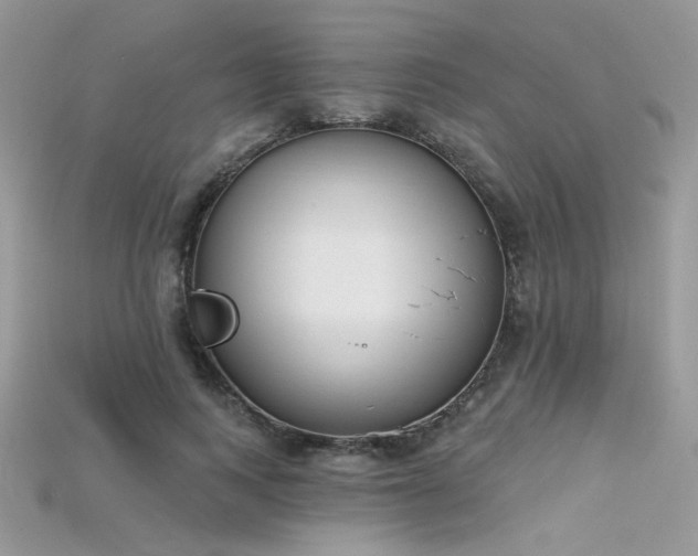 X0000115710743200911121425