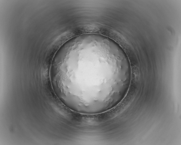 X0000115710745200911121425