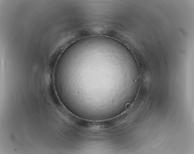 X0000115710746200911121425