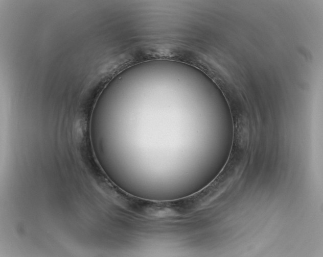 X0000115710747200911121425