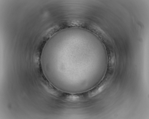 X0000115710749200911121425