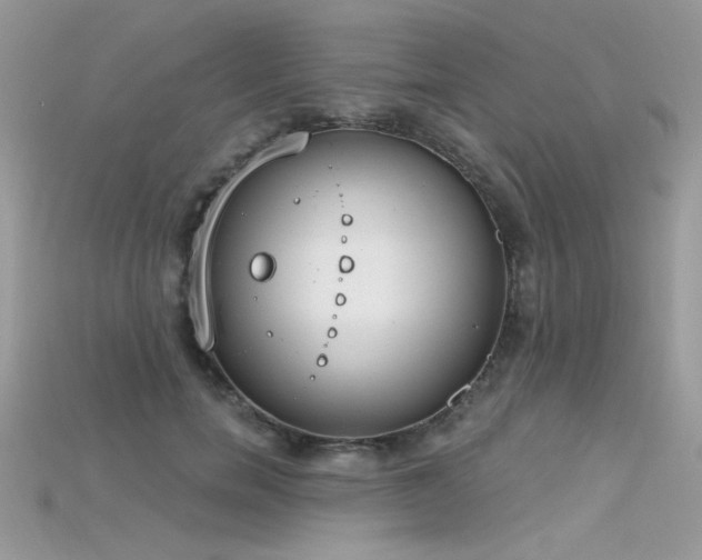 X0000115710750200911121425