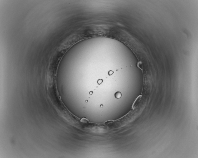 X0000115710751200911121425