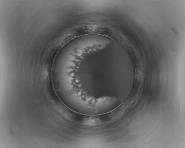 X0000115710754200911121425