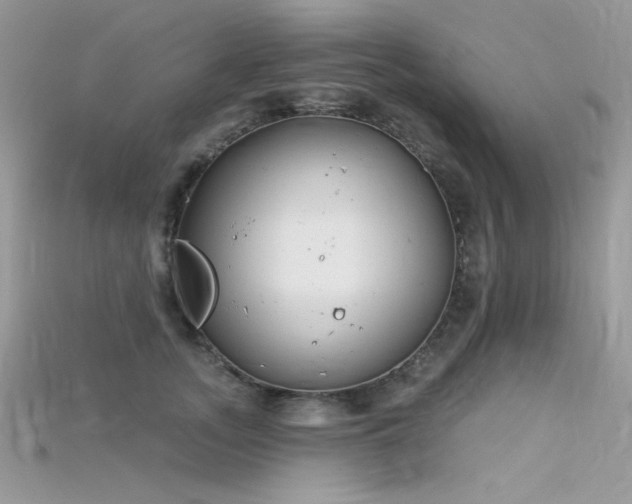 X0000115710755200911121425