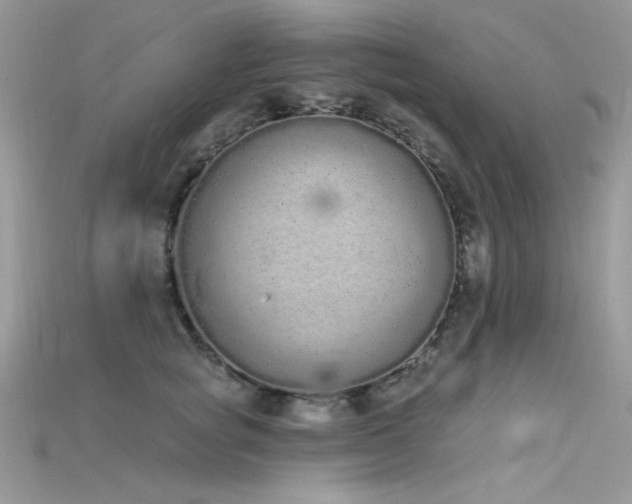 X0000115710757200911121425