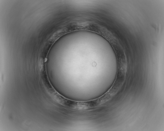 X0000115710758200911121425