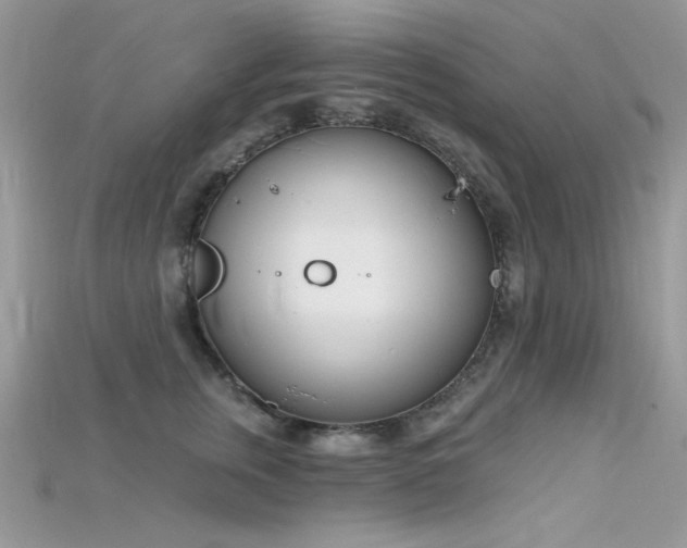 X0000115710759200911121425