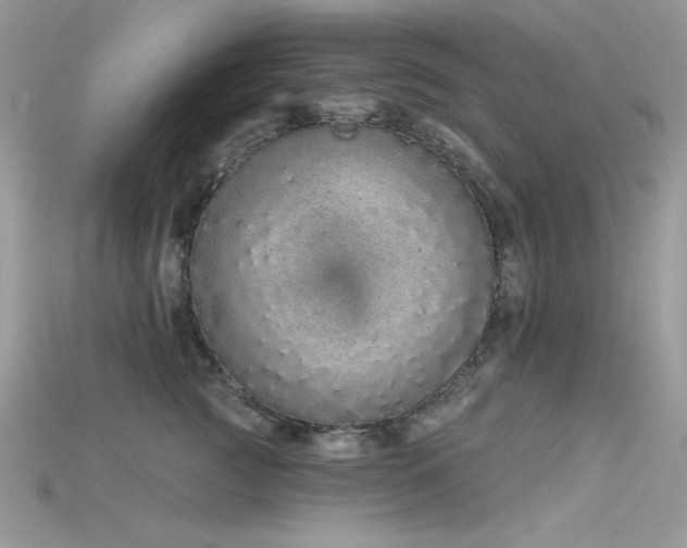 X0000115710761200911121425