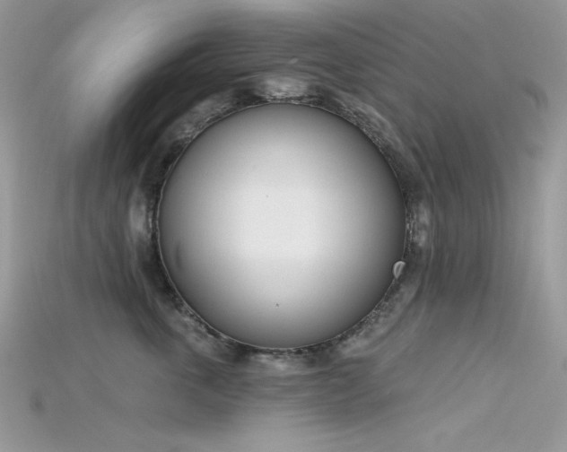 X0000115710763200911121425